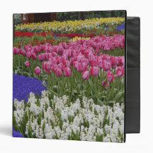 Garden of grape hyacinth, hyacinth and tulips, vinyl binders