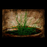 Garden of Green posters