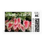 Garden of Love 2 U
