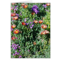 GARDEN OF SUCCULANTS cards by minx267 GARDEN OF SUCCULANTS cards