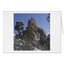 Garden of the Gods 4 Greeting Card