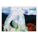 Garden OF The Gods Greeting Card