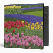 Garden of tulips, Grape Hyacinth and 3 Ring Binders