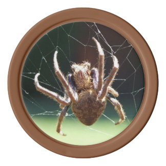 Poker spider