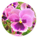 Garden Party stickers