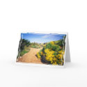 Garden Path cards by pawtracks Garden Path cards