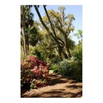 Garden Path posters