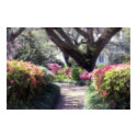Garden Path posters