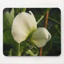 Garden pea flower ~ mousepad by Andy2302 Garden pea flower ~ mousepad
