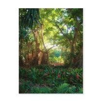garden peace post card