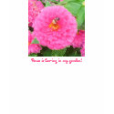 Garden Peace t-shirts