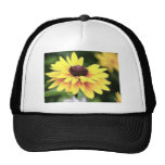 Garden Perfection - Black Eyed Susan Hat