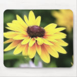 Garden Perfection - Black Eyed Susan Mouse Pad