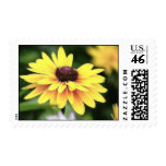 Garden Perfection - Black Eyed Susan Stamps