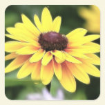 Garden Perfection - Black Eyed Susan stickers