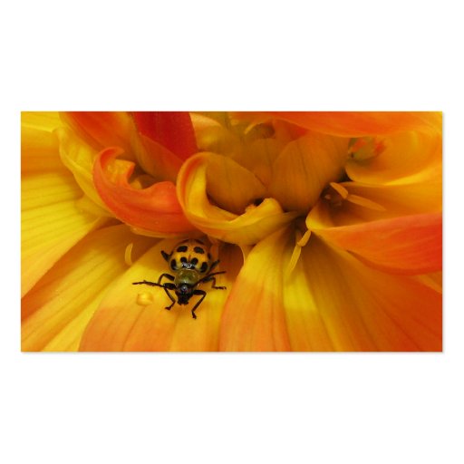 Garden Pest Control Business Card Templates