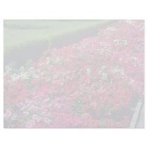 Garden Petunia (Petunia Cv) flowers Letterhead