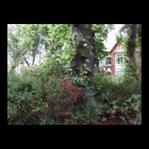 Garden Photo Poster posters by waynetully Garden Photo Poster posters