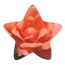 Garden Photo Sticker