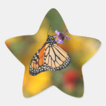 Garden Photo Sticker