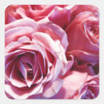 Garden Photo Sticker