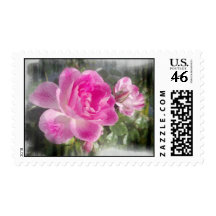 Garden Pink Roses Blossom Stamp