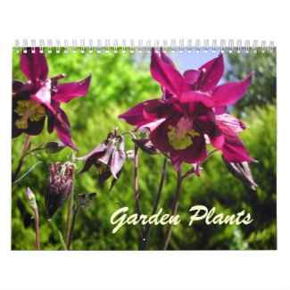 Garden Plants Calendar 2013