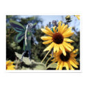 Garden Play 2 posters