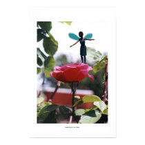 Garden Play posters