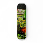 Garden Pond Skate Board Decks