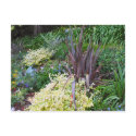garden postcards