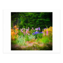 garden postcards