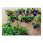Garden Pots cards