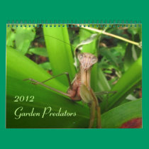 Garden Predators 2012 calendars