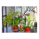 Garden Room posters by Calicoast Garden Room posters