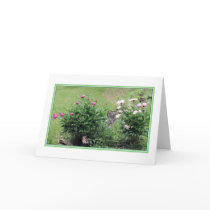 Garden Roses Blank Greeting Card