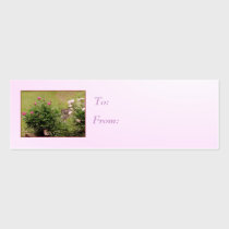 Garden Roses Gift Tag business cards by lizadeyphoto Garden Roses Gift Tag business cards