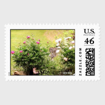 Garden Roses Postage stamps