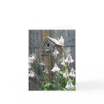 garden scene notecards