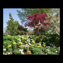 Garden Scene posters