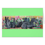 Garden Scottish Terriers Cards