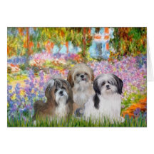 Garden - Shih Tzus (three) Greeting Card