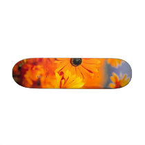 Garden Skateboard