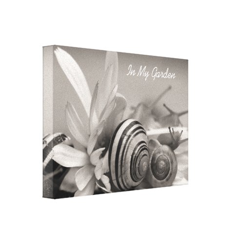 Garden Snails On Gerbera Daisy Fine Art Photograph wrappedcanvas