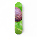 Garden Snails skateboards
