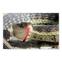 Garden snake posters by devindreamer Garden snake posters