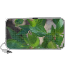 garden speaker