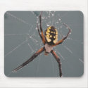Garden Spider Macro mousepads