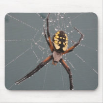 Garden Spider Macro mousepads