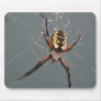 Garden Spider Macro Mouse Pads